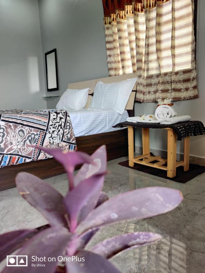 Lee Homestay Hampi Exteriér fotografie