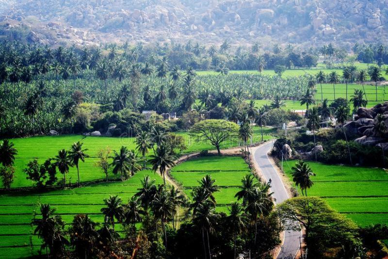 Lee Homestay Hampi Exteriér fotografie